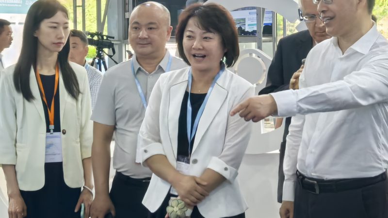 汽车内饰材质耐脏能力揭秘：如何选择更易打理的内饰？**